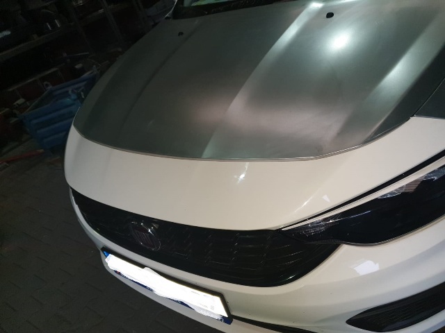 FIAT-EGEA--SD/HB/SW--21/22;-HOOD-W/GLUE