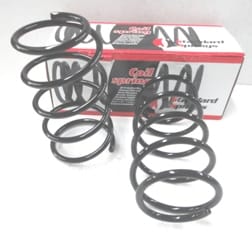 SUZUKI SWIFT- SD/HB- 89/96; ÖN HELEZON YAYI SAG/SOL (2LI SET)(12X125X151) (STDR)